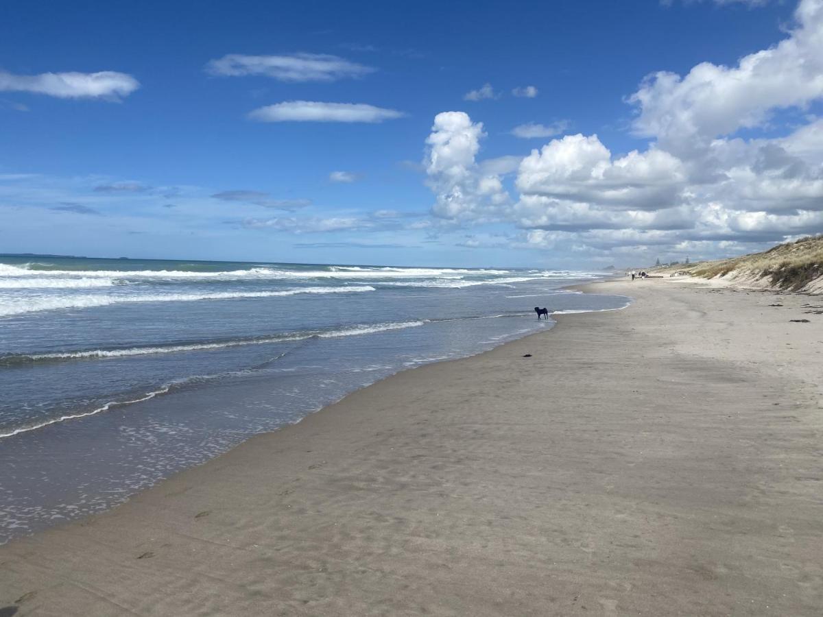 Superb Beachside Location, Private And Tranquil Daire Mount Maunganui Dış mekan fotoğraf
